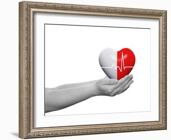 Red and White Human Heart Sign or Symbol with Pulse Held in Human Man or Woman Hands-bestdesign36-Framed Photographic Print