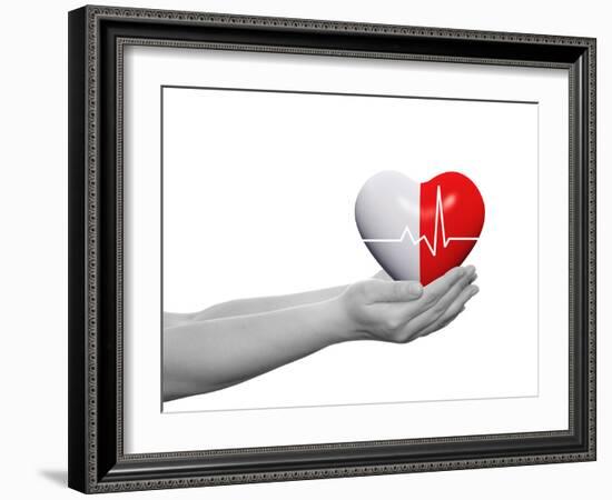 Red and White Human Heart Sign or Symbol with Pulse Held in Human Man or Woman Hands-bestdesign36-Framed Photographic Print