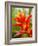 Red and Yellow Bromeliad, San Francisco, California, USA-Julie Eggers-Framed Photographic Print