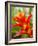 Red and Yellow Bromeliad, San Francisco, California, USA-Julie Eggers-Framed Photographic Print