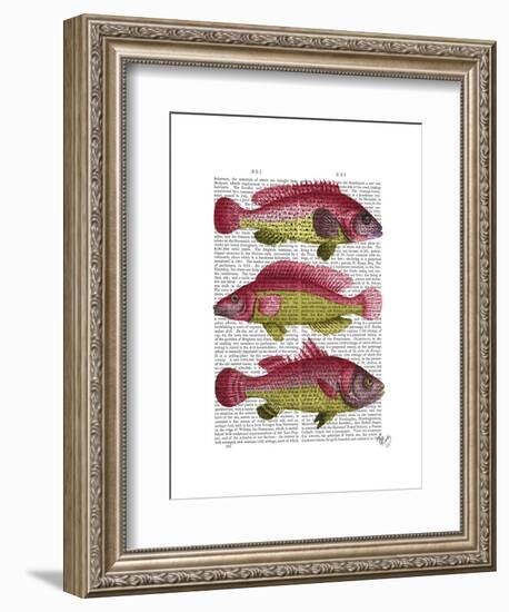 Red and Yellow Fantasy Fish Trio-Fab Funky-Framed Art Print