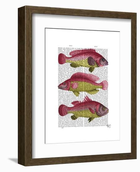 Red and Yellow Fantasy Fish Trio-Fab Funky-Framed Art Print