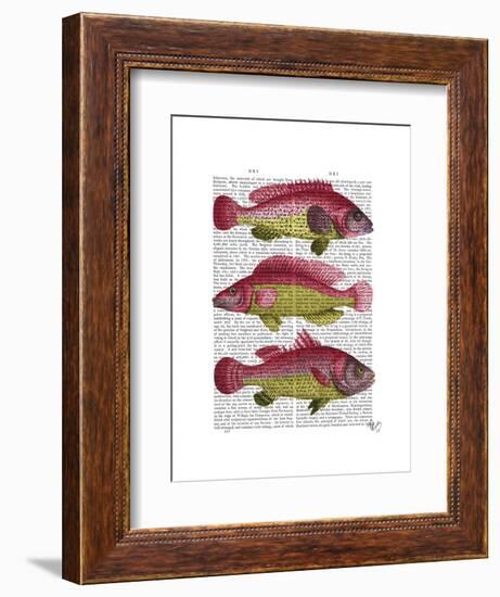 Red and Yellow Fantasy Fish Trio-Fab Funky-Framed Art Print