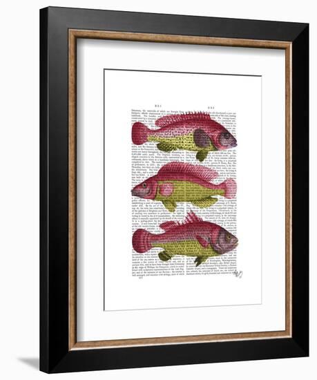 Red and Yellow Fantasy Fish Trio-Fab Funky-Framed Art Print