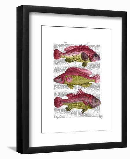 Red and Yellow Fantasy Fish Trio-Fab Funky-Framed Art Print