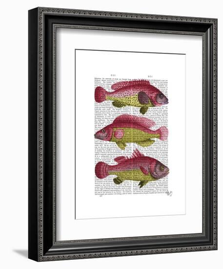 Red and Yellow Fantasy Fish Trio-Fab Funky-Framed Art Print