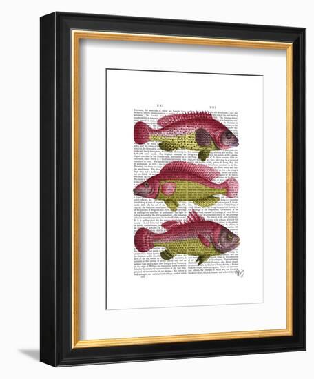 Red and Yellow Fantasy Fish Trio-Fab Funky-Framed Art Print