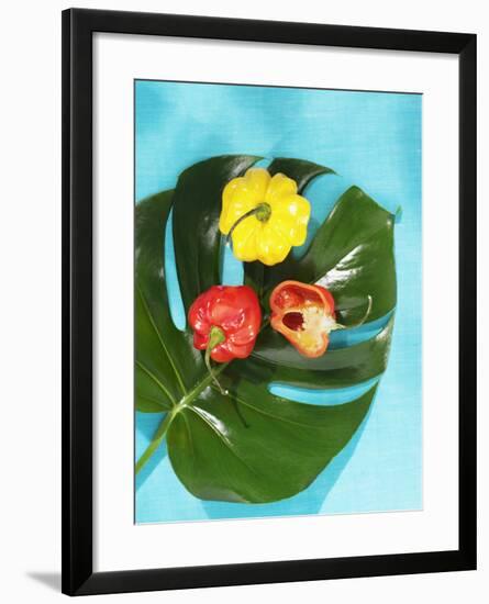 Red and Yellow Habanero Chillies-Armin Zogbaum-Framed Photographic Print