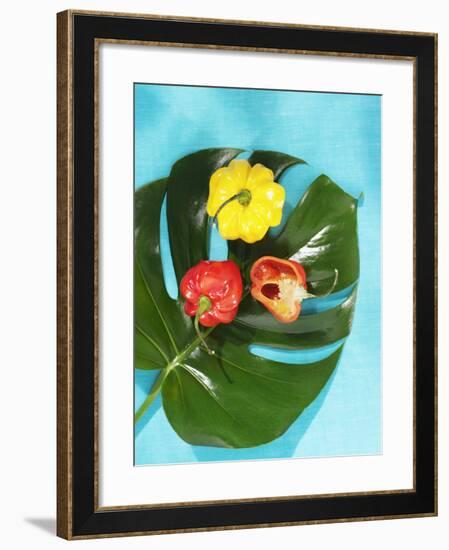 Red and Yellow Habanero Chillies-Armin Zogbaum-Framed Photographic Print