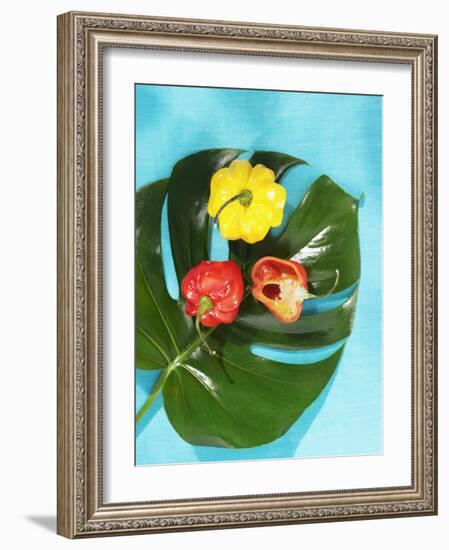 Red and Yellow Habanero Chillies-Armin Zogbaum-Framed Photographic Print