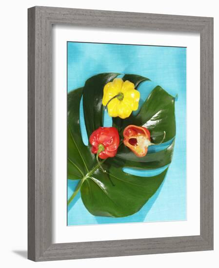 Red and Yellow Habanero Chillies-Armin Zogbaum-Framed Photographic Print