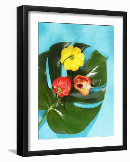 Red and Yellow Habanero Chillies-Armin Zogbaum-Framed Photographic Print