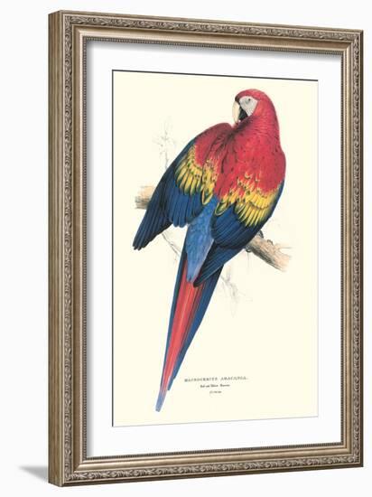 Red and Yellow Macaw - Ara Macao-Edward Lear-Framed Art Print