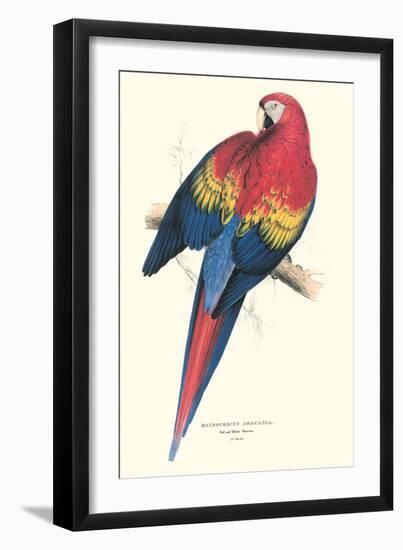 Red and Yellow Macaw - Ara Macao-Edward Lear-Framed Art Print