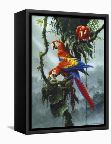 Red and Yellow Macaws-Harro Maass-Framed Premier Image Canvas