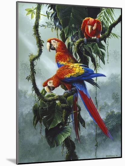 Red and Yellow Macaws-Harro Maass-Mounted Giclee Print