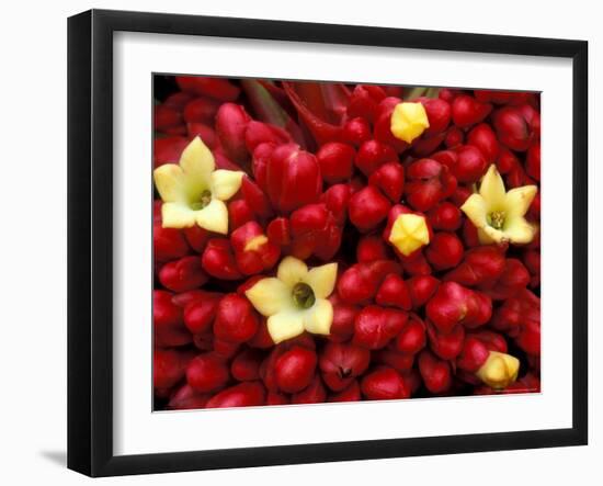 Red and Yellow Rainforest Flower, Barro Colorado Island, Panama-Christian Ziegler-Framed Photographic Print