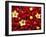 Red and Yellow Rainforest Flower, Barro Colorado Island, Panama-Christian Ziegler-Framed Photographic Print