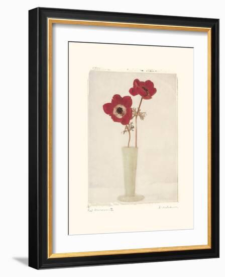 Red Anemones II-Amy Melious-Framed Art Print