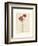 Red Anemones II-Amy Melious-Framed Premium Giclee Print