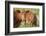 Red Angus Cow and Calf Drinking Water from Pond, Florida-Maresa Pryor-Framed Photographic Print