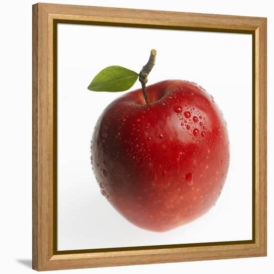 Red Apple (Jonagold) with Leaf and Drops of Water-Kai Schwabe-Framed Premier Image Canvas