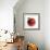 Red Apple (Jonagold) with Leaf and Drops of Water-Kai Schwabe-Framed Photographic Print displayed on a wall