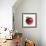 Red Apple (Jonagold) with Leaf and Drops of Water-Kai Schwabe-Framed Photographic Print displayed on a wall