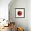 Red Apple (Jonagold) with Leaf and Drops of Water-Kai Schwabe-Framed Photographic Print displayed on a wall