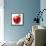 Red Apple on White Background-Alex Staroseltsev-Framed Stretched Canvas displayed on a wall