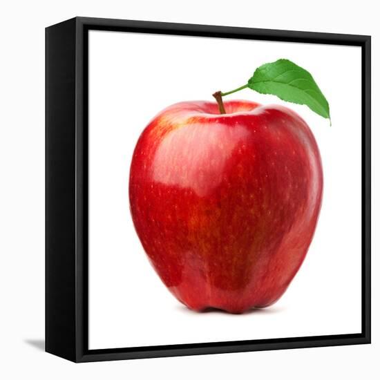 Red Apple on White Background-Alex Staroseltsev-Framed Stretched Canvas