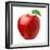 Red Apple on White Background-Alex Staroseltsev-Framed Photographic Print