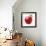 Red Apple on White Background-Alex Staroseltsev-Framed Photographic Print displayed on a wall