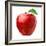 Red Apple on White Background-Alex Staroseltsev-Framed Photographic Print