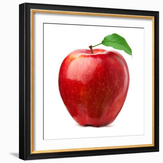 Red Apple on White Background-Alex Staroseltsev-Framed Photographic Print