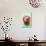 Red Apple, Variety Stark-Foodcollection-Photographic Print displayed on a wall