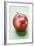 Red Apple, Variety Stark-Foodcollection-Framed Photographic Print