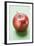 Red Apple, Variety Stark-Foodcollection-Framed Photographic Print