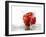 Red Apple with Splashing Water-Michael Löffler-Framed Photographic Print