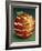 Red Apple-Harro Maass-Framed Giclee Print