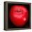 Red Apple-Nelly Arenas-Framed Stretched Canvas