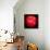 Red Apple-Nelly Arenas-Framed Stretched Canvas displayed on a wall