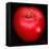 Red Apple-Nelly Arenas-Framed Stretched Canvas