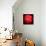 Red Apple-Nelly Arenas-Premium Giclee Print displayed on a wall
