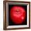 Red Apple-Nelly Arenas-Framed Premium Giclee Print