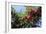 Red Apples on a Tree-David Nunuk-Framed Photographic Print