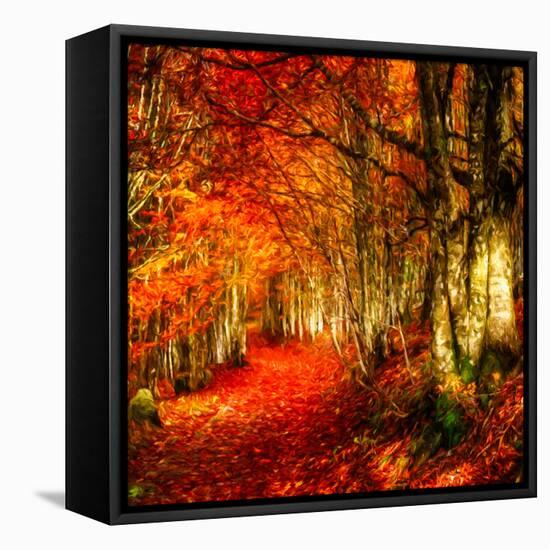 Red Atmosphere There-Philippe Sainte-Laudy-Framed Premier Image Canvas