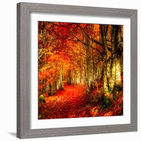 Red Atmosphere There-Philippe Sainte-Laudy-Framed Photographic Print