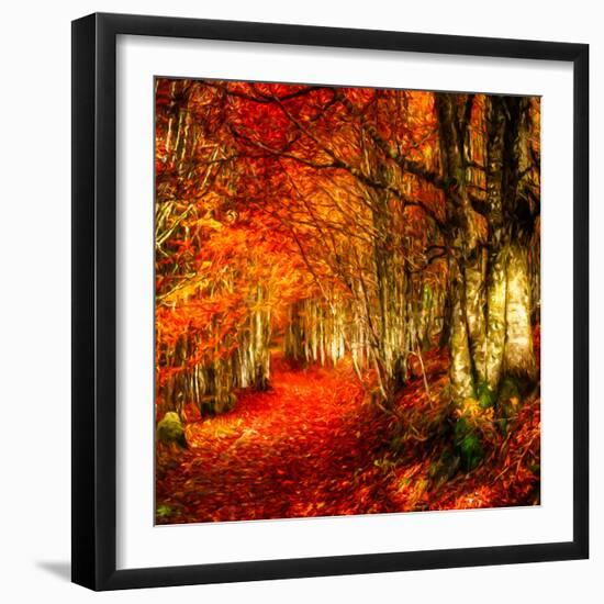 Red Atmosphere There-Philippe Sainte-Laudy-Framed Photographic Print