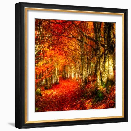 Red Atmosphere There-Philippe Sainte-Laudy-Framed Photographic Print